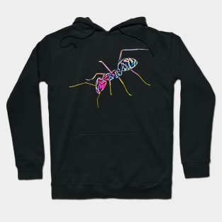 Ant Hoodie